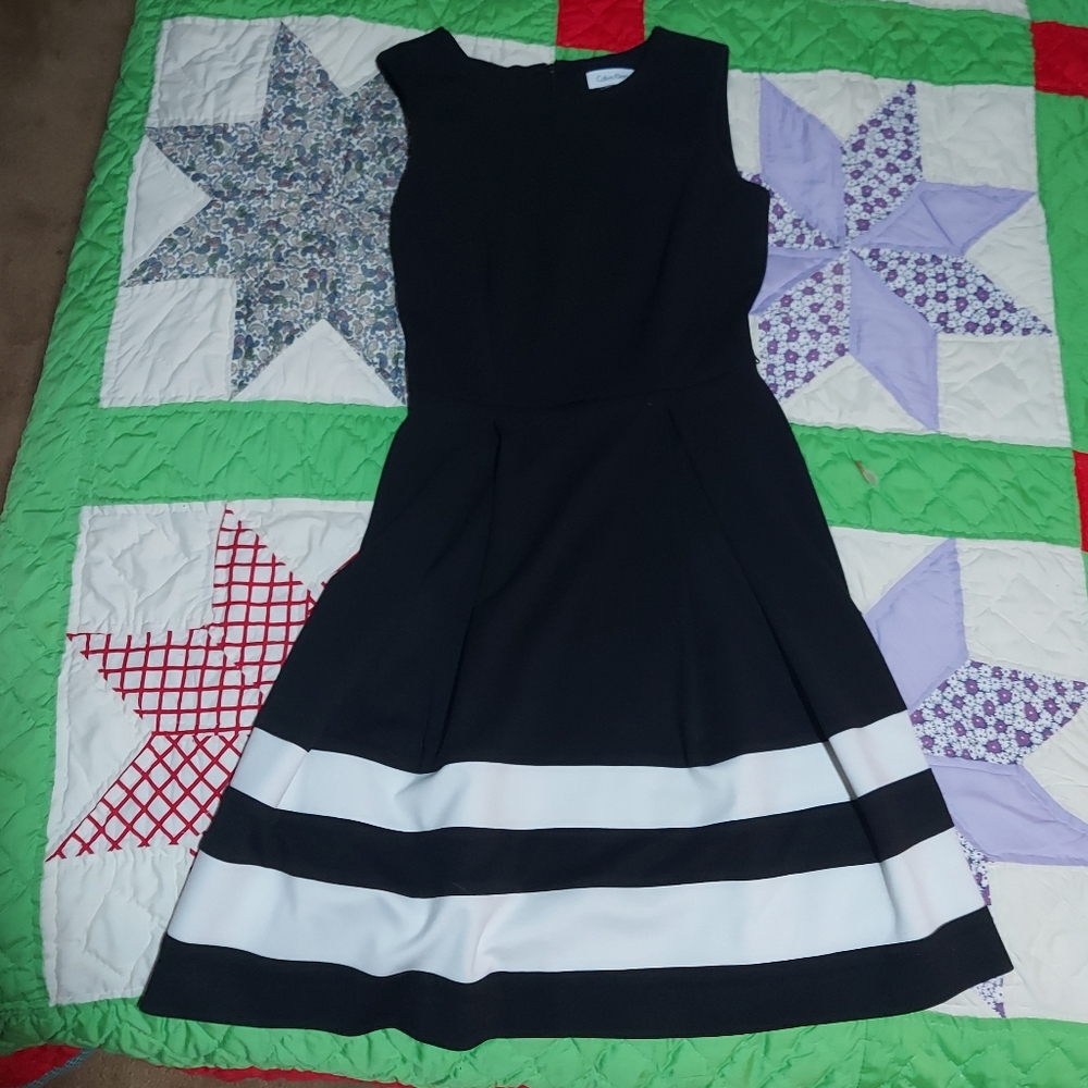 Calvin Klein Dress Classic Fit and Flare Black White Stripe Sleeveless , Size 2